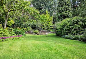 Optimiser l'expérience du jardin à Rilhac-Rancon